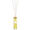 ENDLESS FIESTA Diffuser