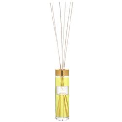 ENDLESS FIESTA Diffuser