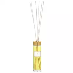 ENDLESS FIESTA Diffuser